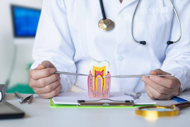 Best Emergency Dentist for Knocked-Out Tooth in Glen Carbon, IL